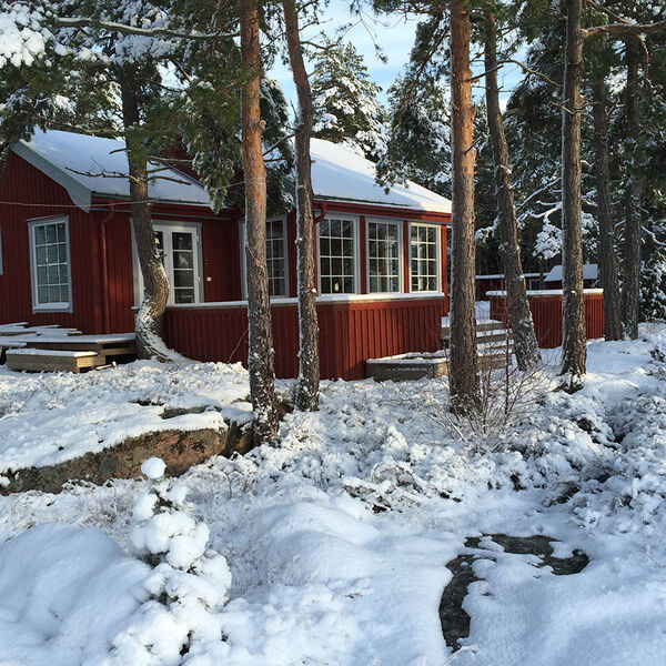Spröjsade kulturfönster på ett rött trähus i vinterlandskap