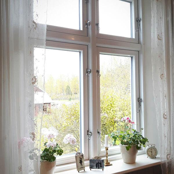 Spröjsat fönster sett från insidan med blommor i fönsterbänken