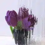 frostat glas
